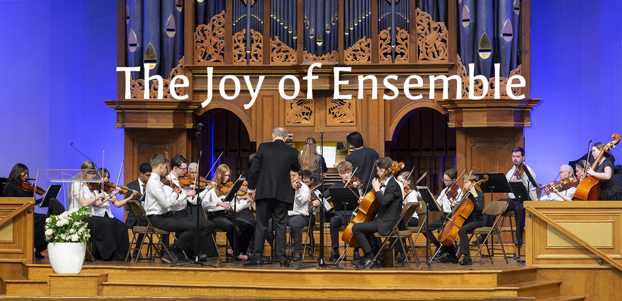 Young orchestra